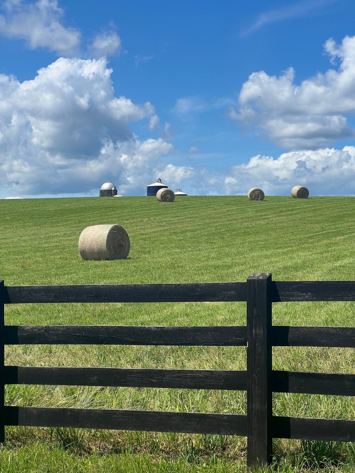 A selection of prepared beef dishes for the Alaron Kitchen recipe collection.